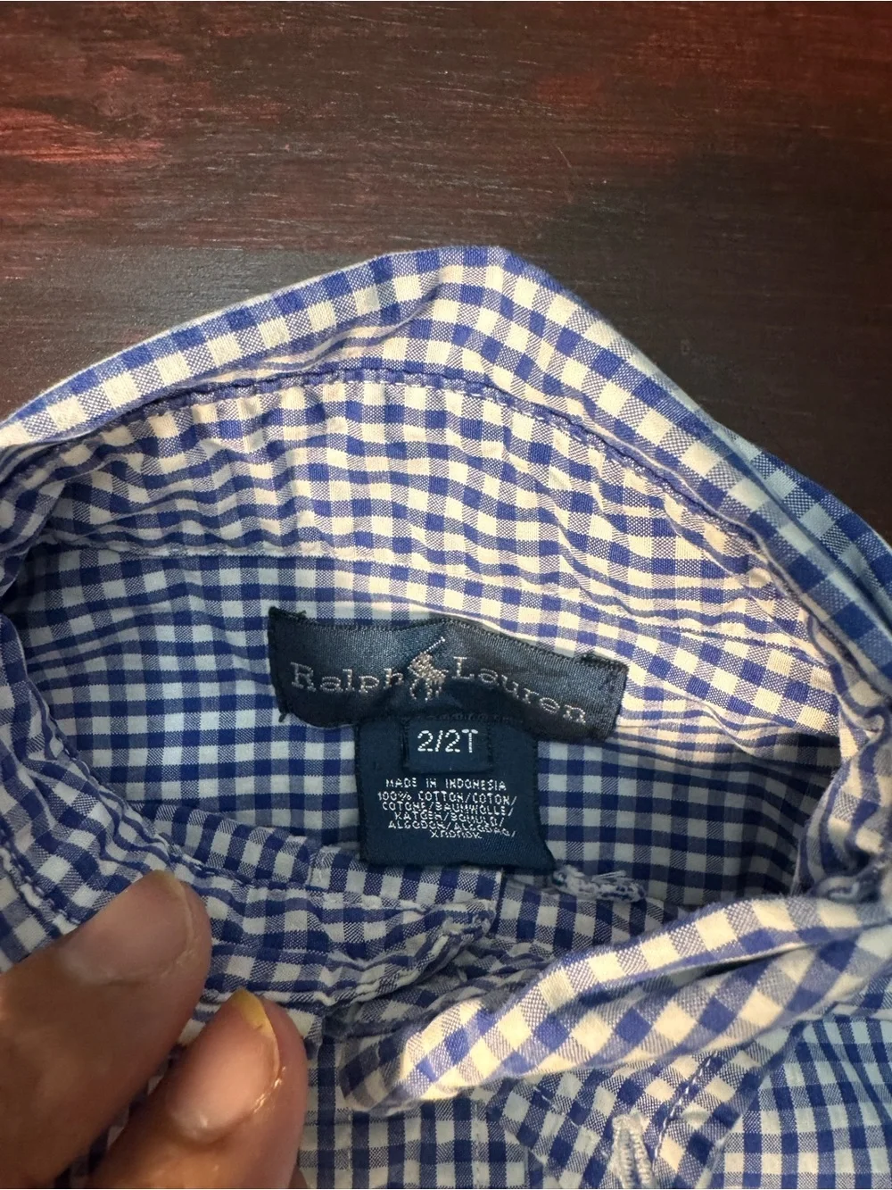 Ralph Lauren Blue and White Gingham Button-Down Shirt for Kids